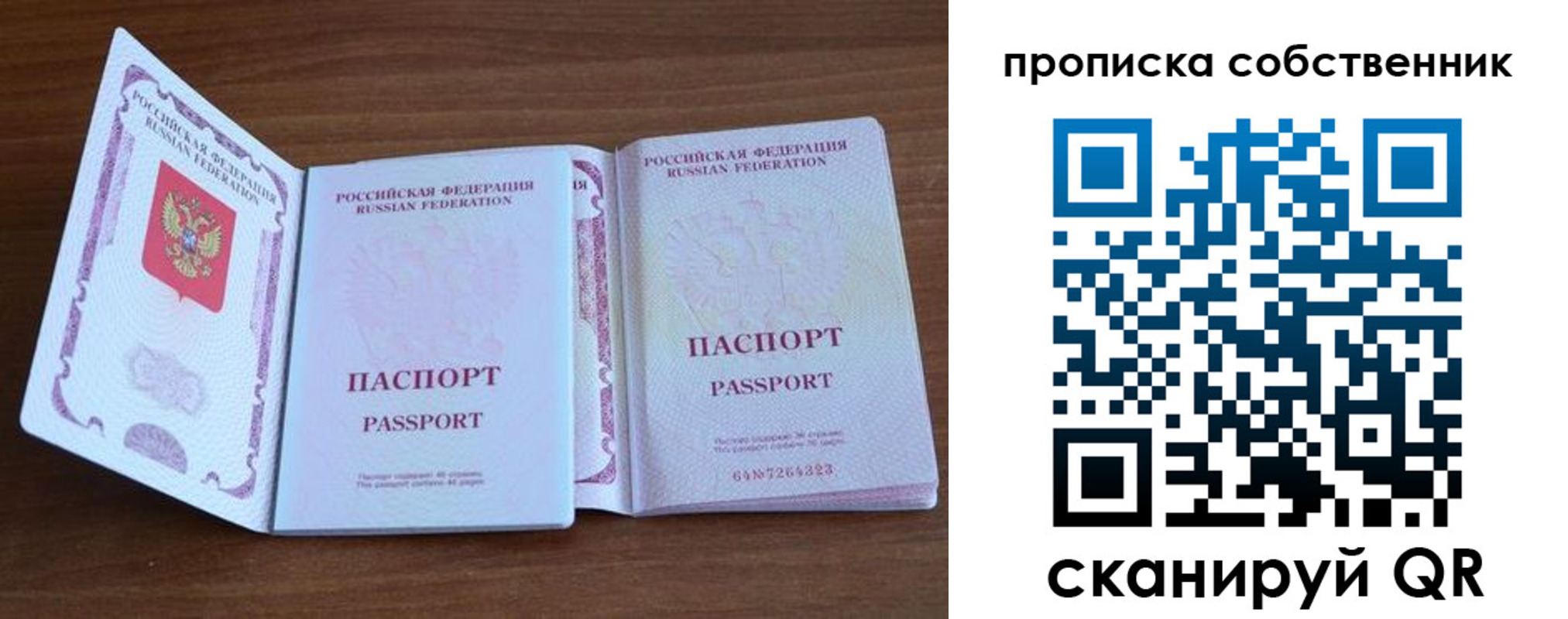 регистрация в Лыткарино