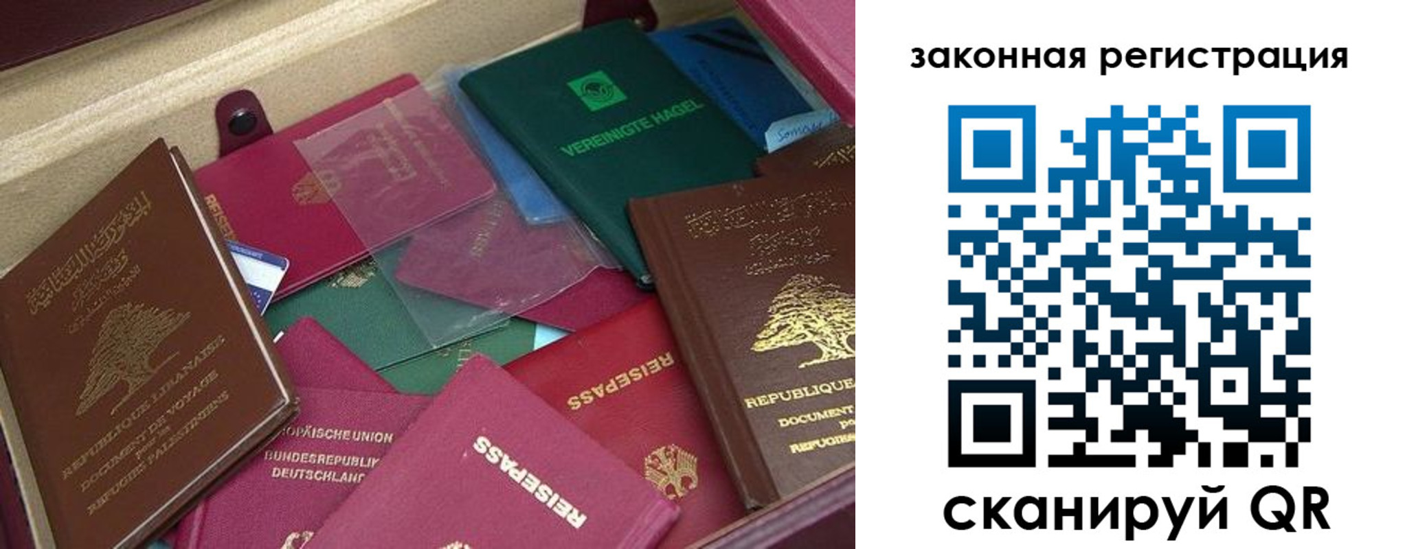 купить прописку в Лыткарино